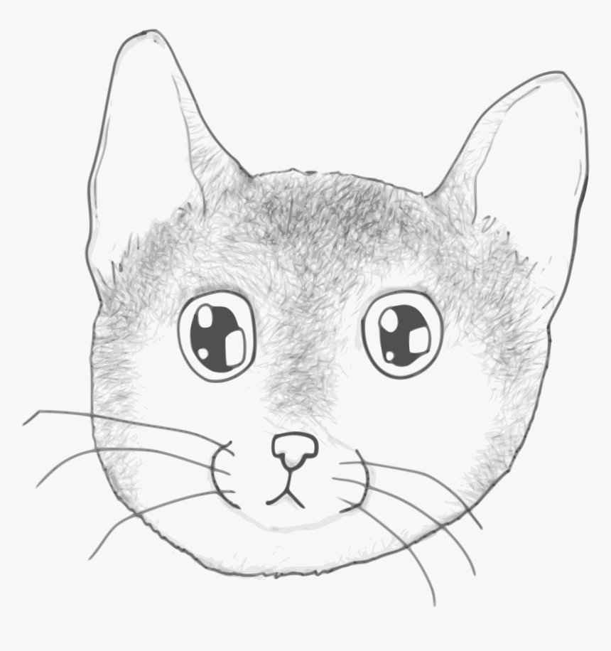Kitten Face Png - Cat Yawns, Transparent Png, Free Download
