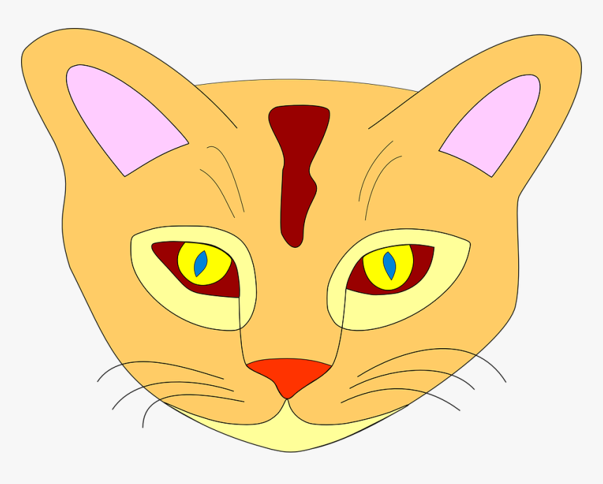 Animal, Cat, Face, Head, Cute - Color Of Cat Clipart, HD Png Download, Free Download