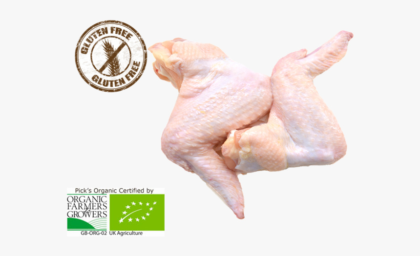 Fresh Chicken Wing Png, Transparent Png, Free Download