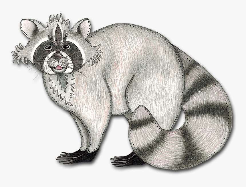 Transparent Raccoon Png - Procyon, Png Download, Free Download