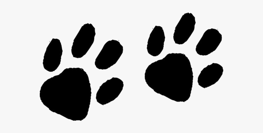 Raccoon Footprints Png Transparent Images - Animal Footprints Png, Png Download, Free Download