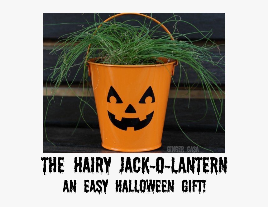 Hairy Jack O Lantern Pin - Jack-o'-lantern, HD Png Download, Free Download