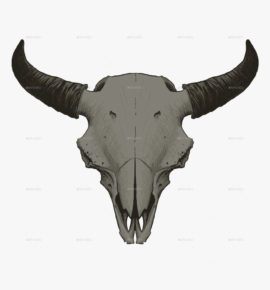 Animal Skull Vol - Animal Skull Png Transparent Background, Png Download, Free Download