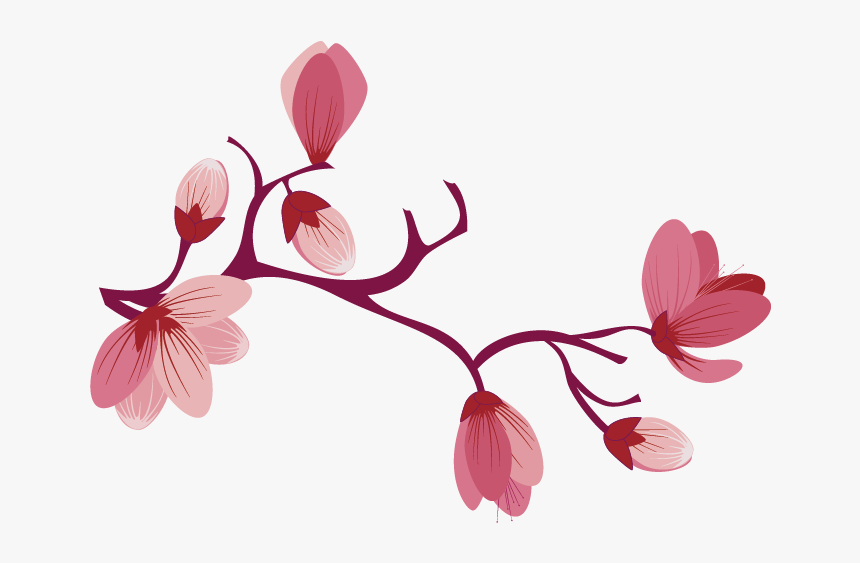 Sakura Pink Flowers Png Free Background - Free Pink Flower Png, Transparent Png, Free Download