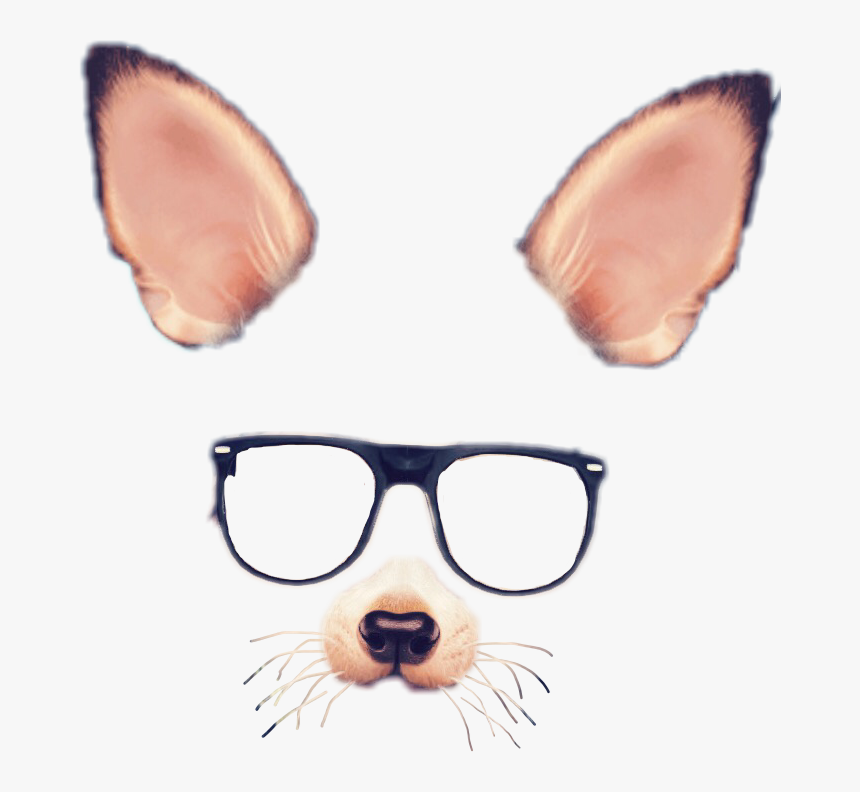 Spectacles Snapchat Photographic Filter - Snapchat Face Filters Png, Transparent Png, Free Download