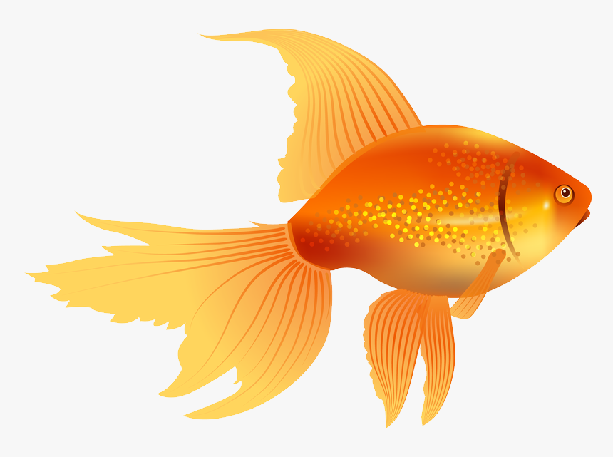 67579 - Goldfish Clipart, HD Png Download, Free Download