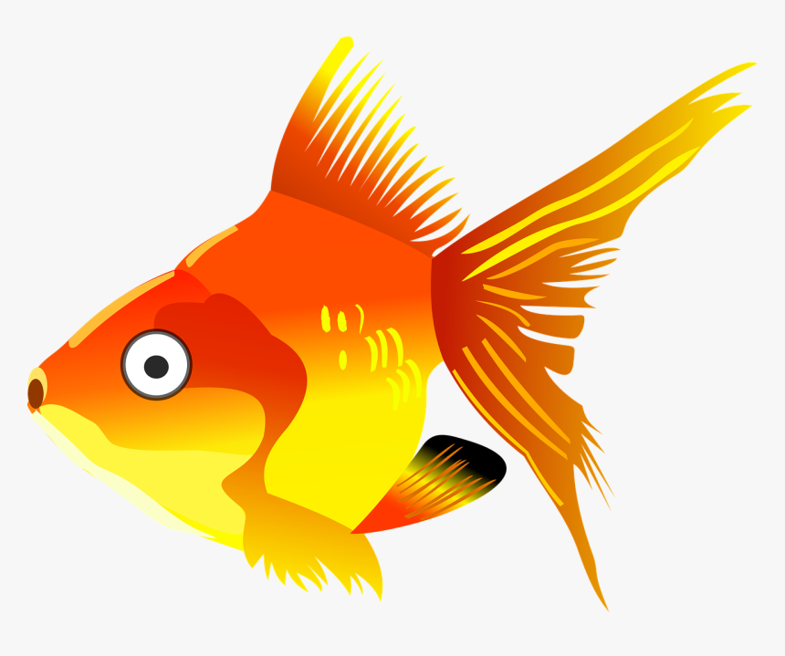 Fish Clipart Transparent Background, HD Png Download, Free Download