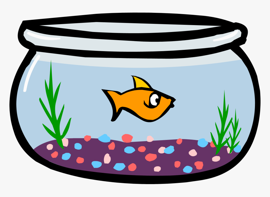 Transparent Goldfish Png - Fish In Fishbowl Clipart Png, Png Download, Free Download