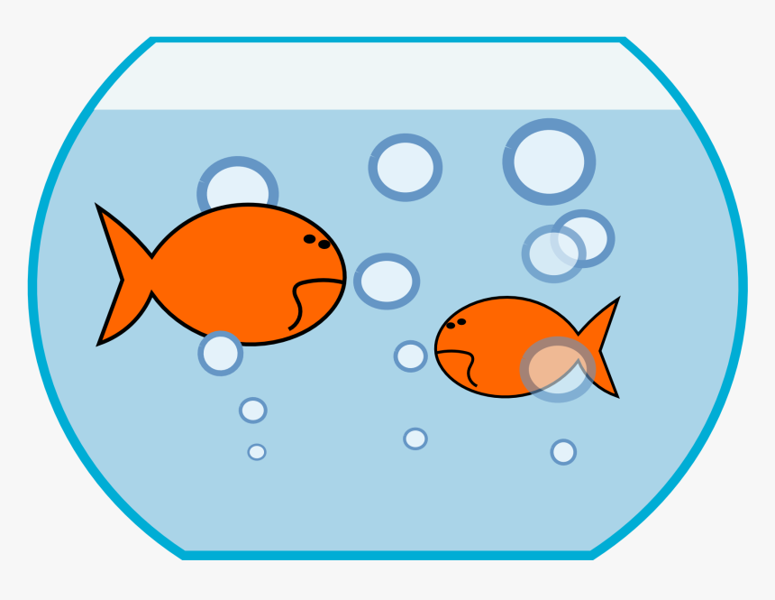 Fish In The Water Clipart, HD Png Download - kindpng