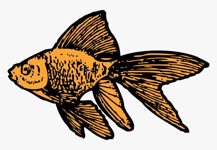 Goldfish Clip Art, HD Png Download, Free Download