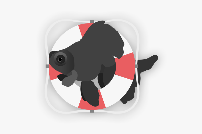 Goldfish, HD Png Download, Free Download