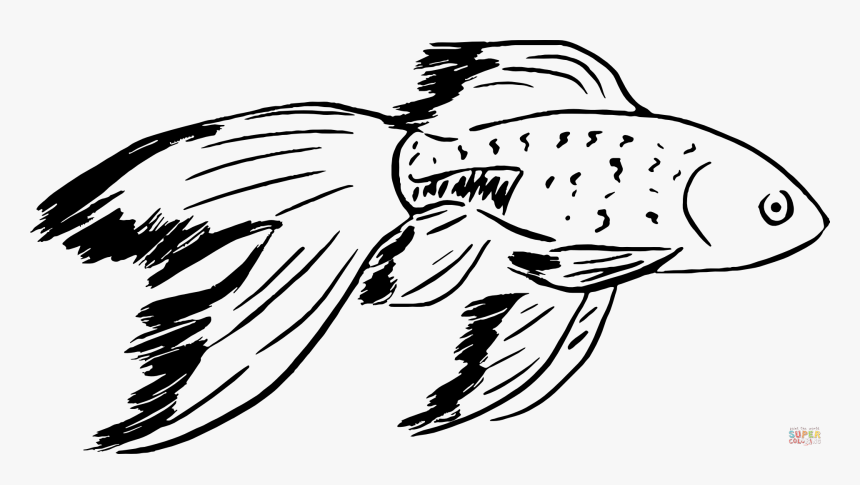 Disegno Di Un Pesce, HD Png Download, Free Download