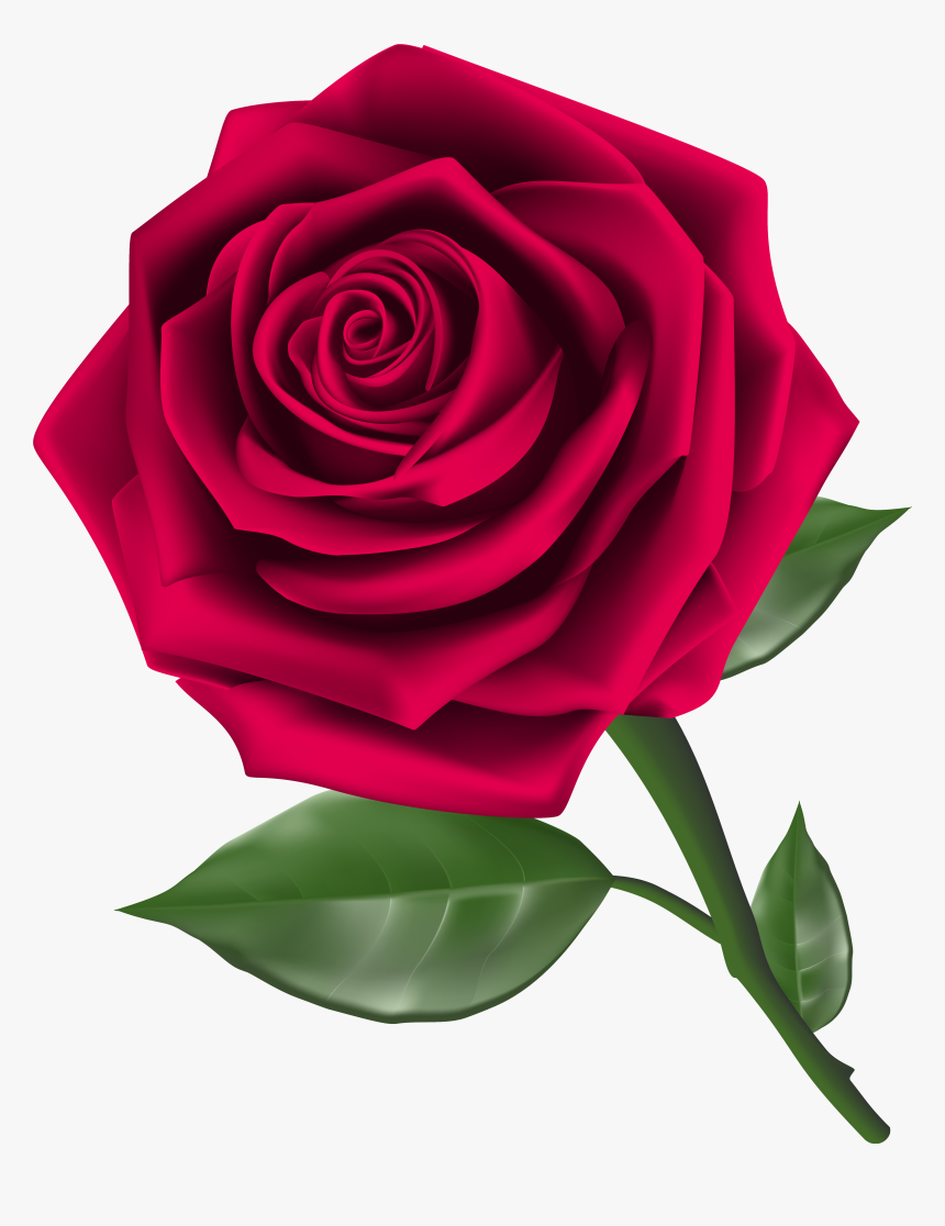 Steam Png Image Gallery - Rose Clipart Png, Transparent Png, Free Download