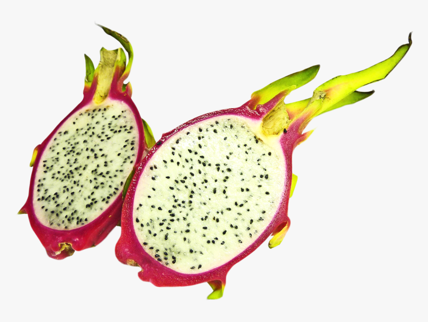 Fruits Clipart Passion Fruit - Dragon Fruit Half Png, Transparent Png, Free Download