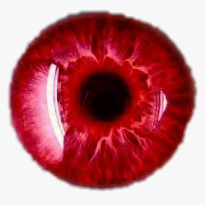 #ojo #rojo #red #eyes - Blue Eyes Transparent, HD Png Download, Free Download