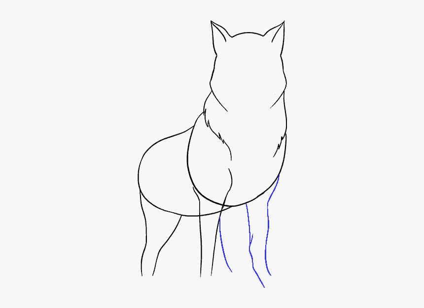 How To Draw Wolf - Sketch, HD Png Download, Free Download