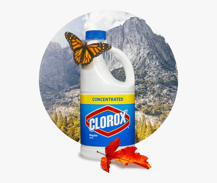 Transparent Clorox Bleach Png - Clorox, Png Download, Free Download