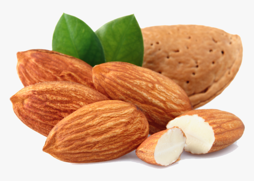 Almond Free Download Png - Transparent Almond Png, Png Download, Free Download