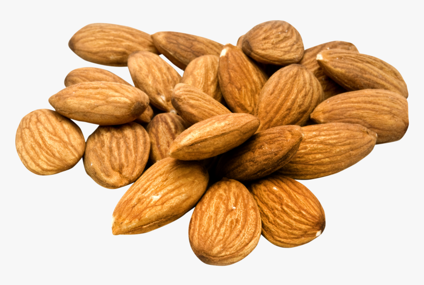 Almond Png Pic - Almonds Nut Png, Transparent Png, Free Download