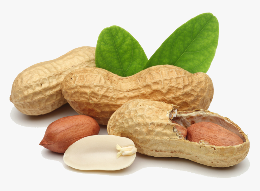 Praline Peanut Legume Dried Fruit - Groundnut Png, Transparent Png, Free Download