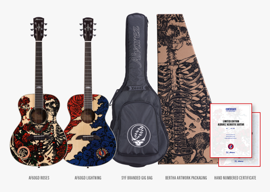 Grateful Dead Pick Tin Gdpt01m Medium , Png Download - Electric Guitar, Transparent Png, Free Download