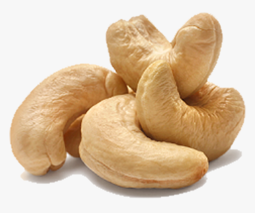 Cashew Nut, HD Png Download, Free Download