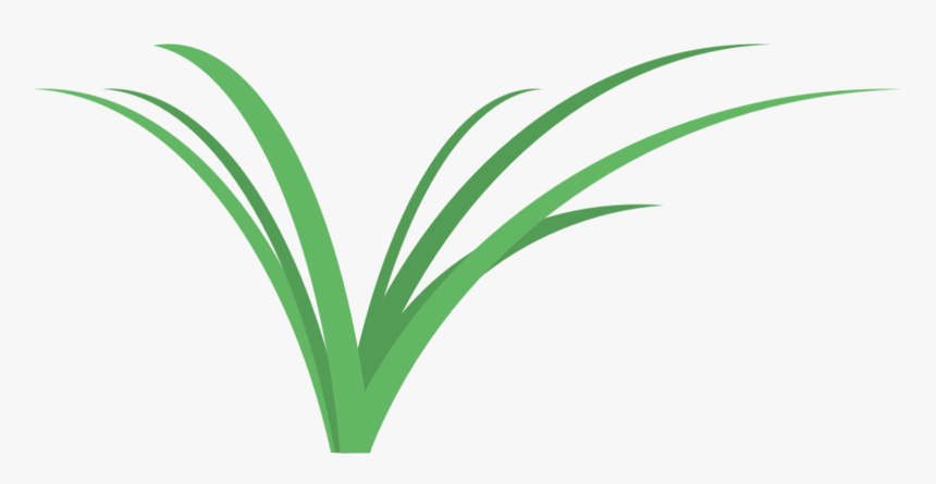 Botany,plant,flower, HD Png Download, Free Download