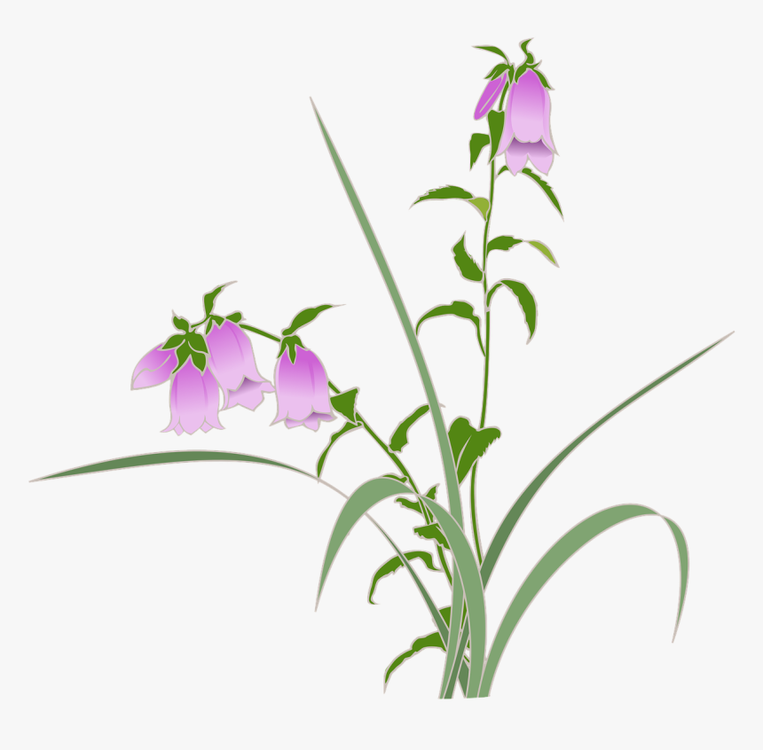 Firefly Projects, Wild Grass, Purple Flowers - Alang Alang Png, Transparent Png, Free Download