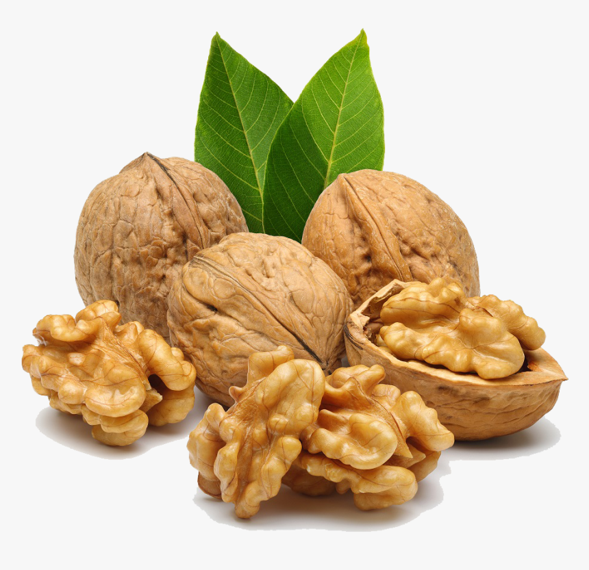 Walnut Png - Happy Sair, Transparent Png, Free Download