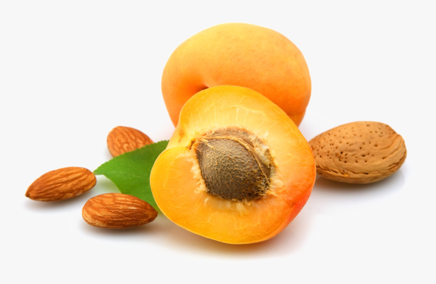 Apricot Open Png Photo - Apricot Kernel Png, Transparent Png, Free Download