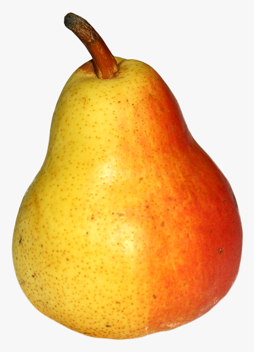 Fruits Png Png Download Asian Pear - Asian Pear, Transparent Png, Free Download