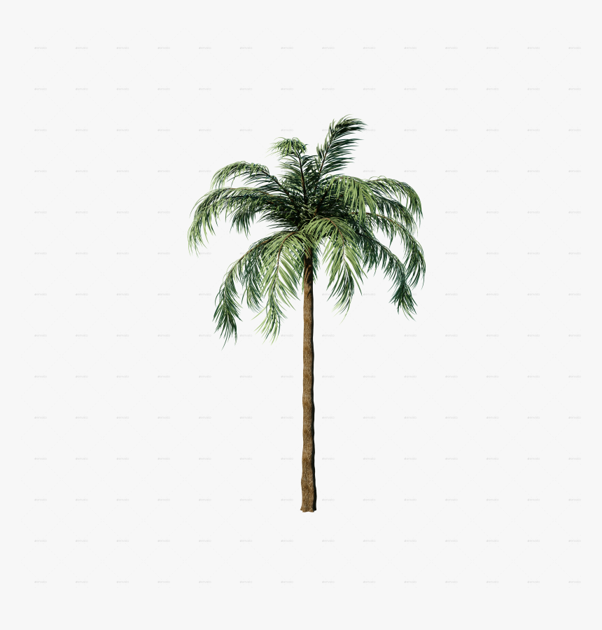 Palms Png, Transparent Png, Free Download