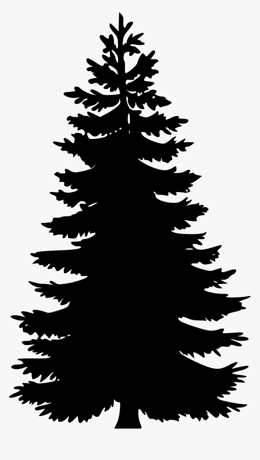Tree - Pine Tree Vector Png, Transparent Png, Free Download