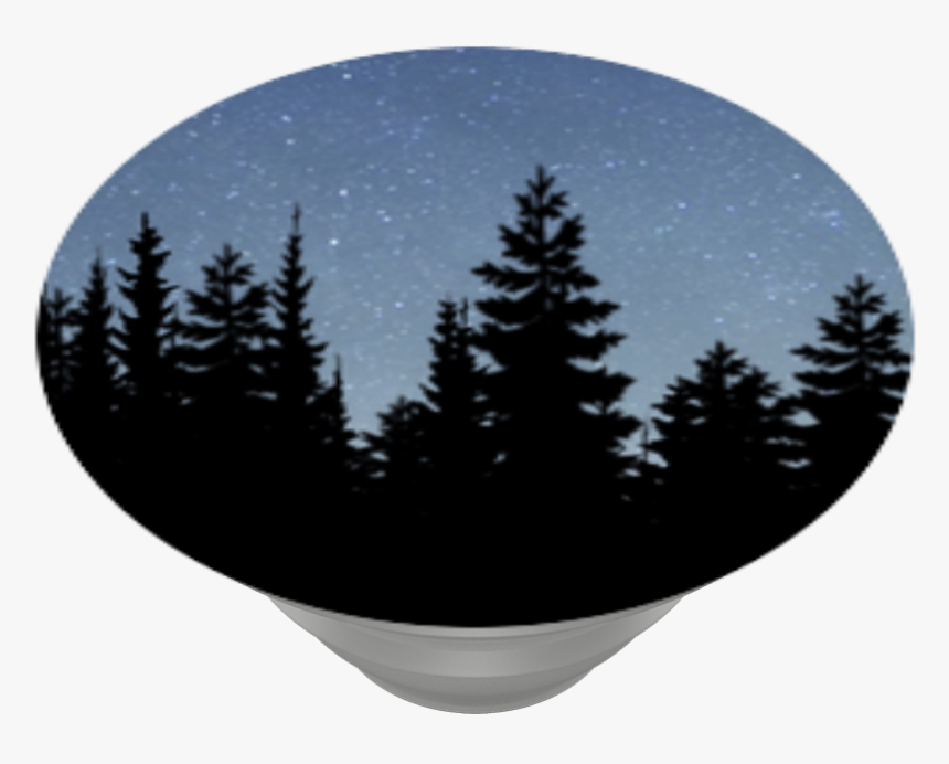 Night Forest, Popsockets - Pine Tree Vector Png, Transparent Png, Free Download