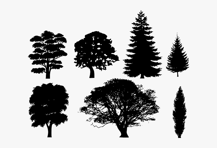 Image Gratuite Sur Pixabay - Free Vector Tree Silhouette, HD Png Download, Free Download