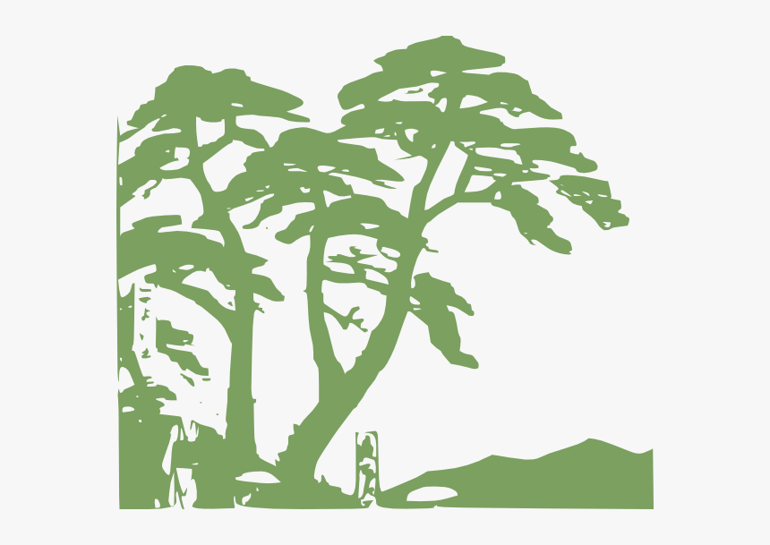 Jungle Tree Silhouette Clipart - Rainforest Clipart, HD Png Download, Free Download