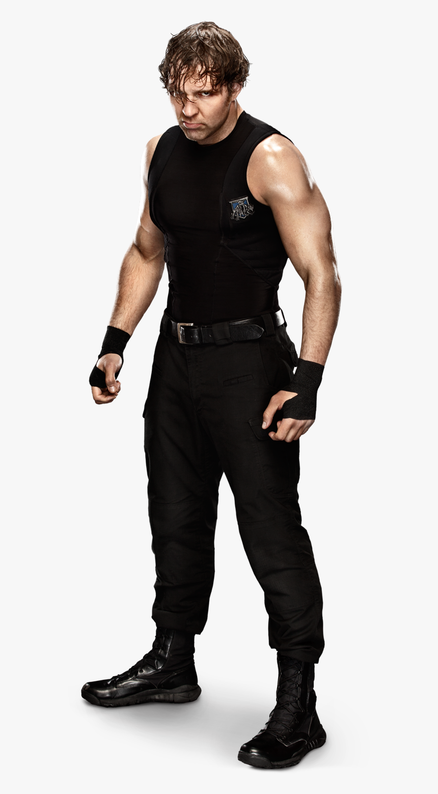 Dean Ambrose - Wwe Dean Ambrose Shield, HD Png Download, Free Download