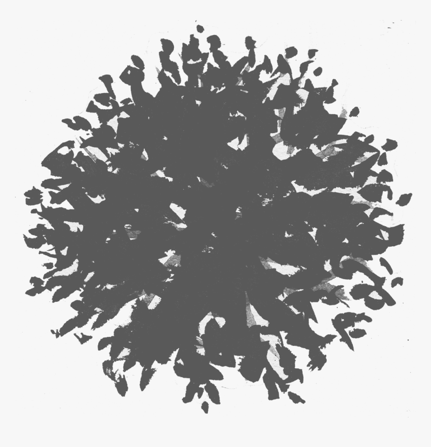 Tree Shadow Png - Tree Watercolor Top View, Transparent Png, Free Download