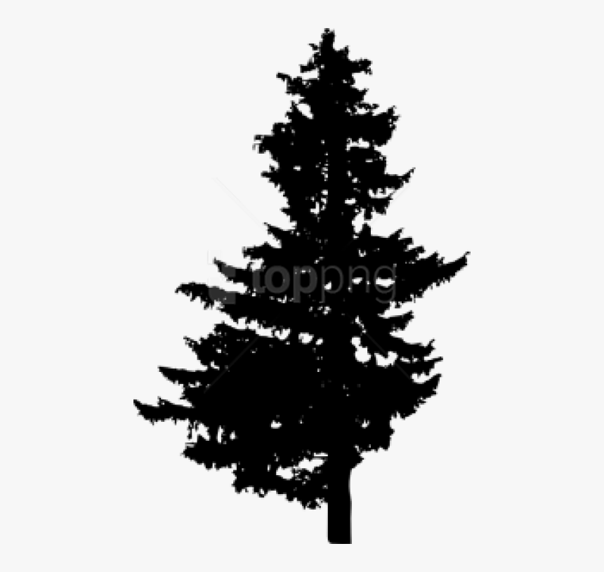 Transparent Pine Tree Silhouette Png, Png Download, Free Download