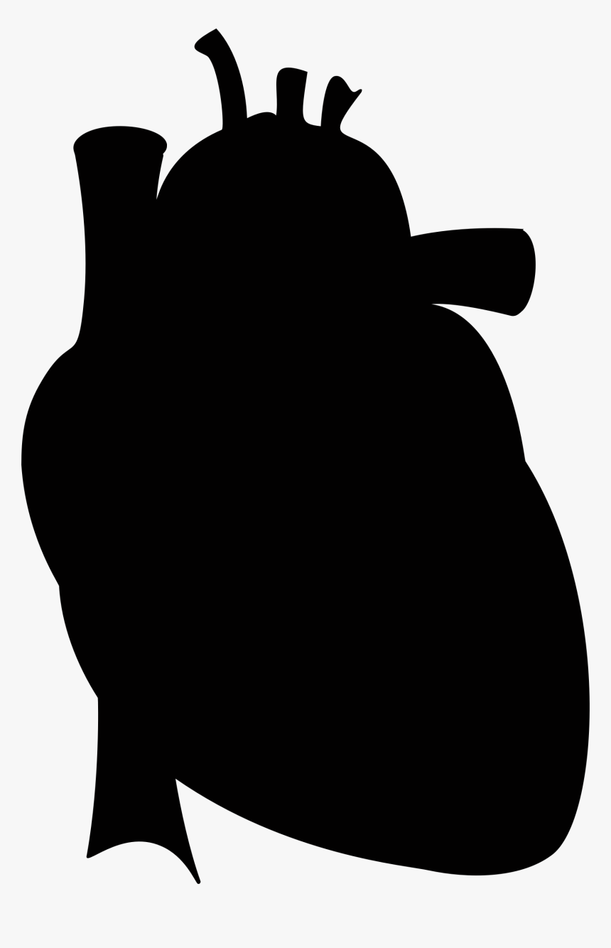 Transparent Marching Baritone Clipart - Anatomical Heart Silhouette Png, Png Download, Free Download
