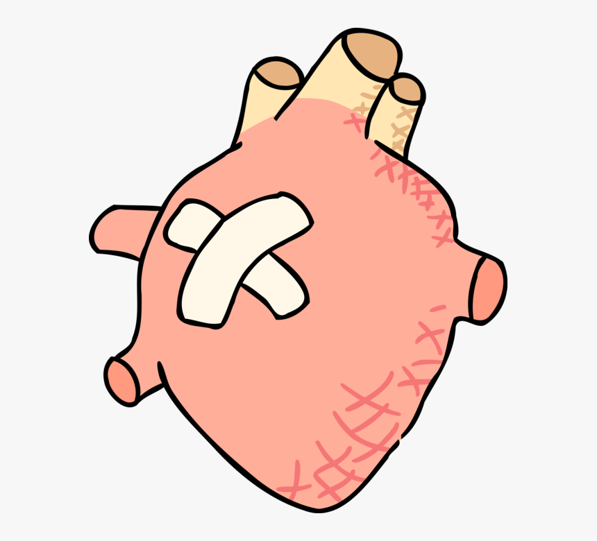 Vector Illustration Of Human Heart With Band Aid - Coraçao Humano Desenho Png, Transparent Png, Free Download