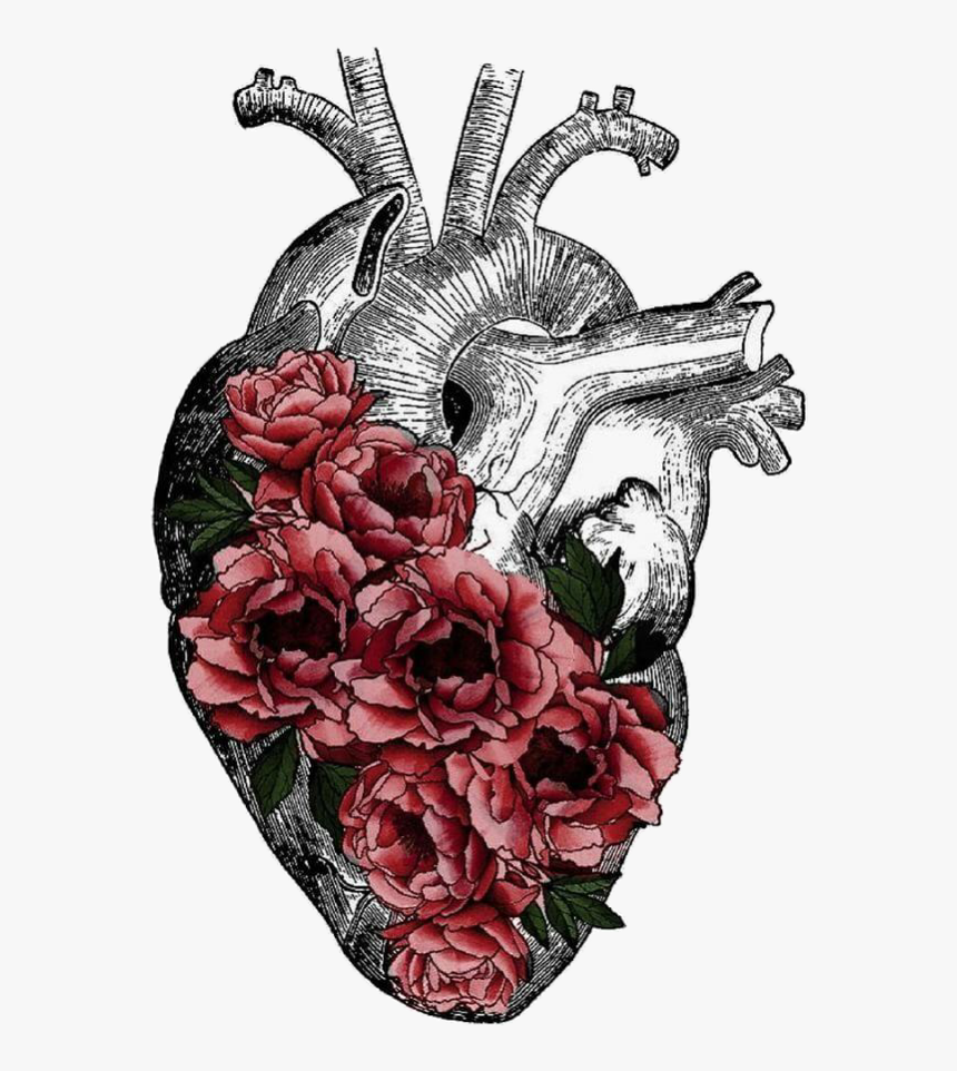#heart #flowers #drawing #humanheart #freetoedit - Drawing Heart With Flowers, HD Png Download, Free Download