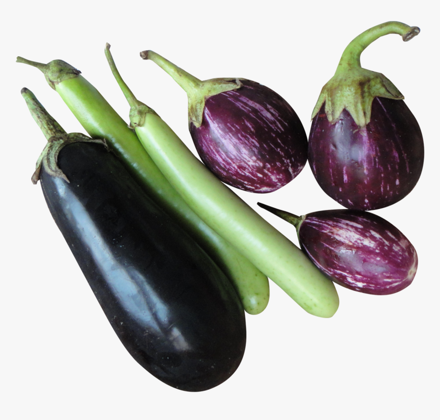 Hd Eggplant Png Transparent Background - Eggplant Transparent, Png Download, Free Download