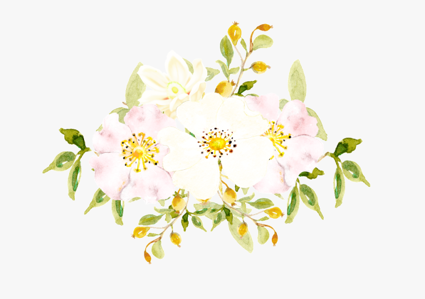 Hand Painted White Flowers Png Transparent - Burnet Rose, Png Download, Free Download