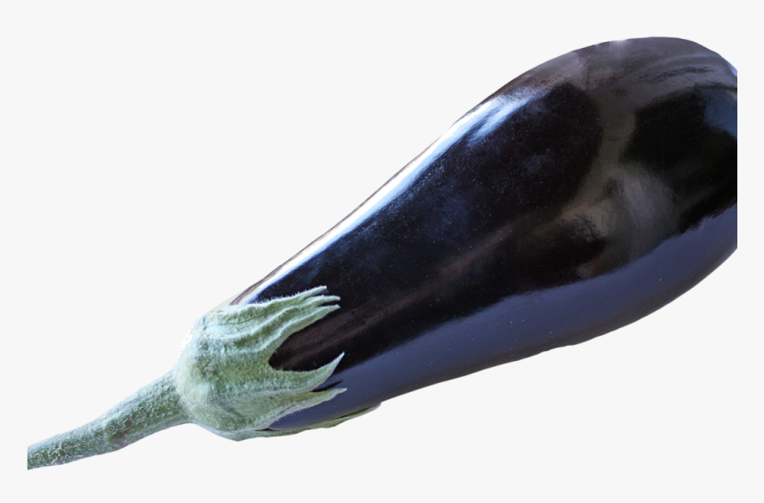 Eggplant, HD Png Download, Free Download