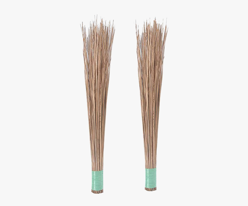 Coconut Broom Png Image Background - Coconut Jhadu, Transparent Png, Free Download