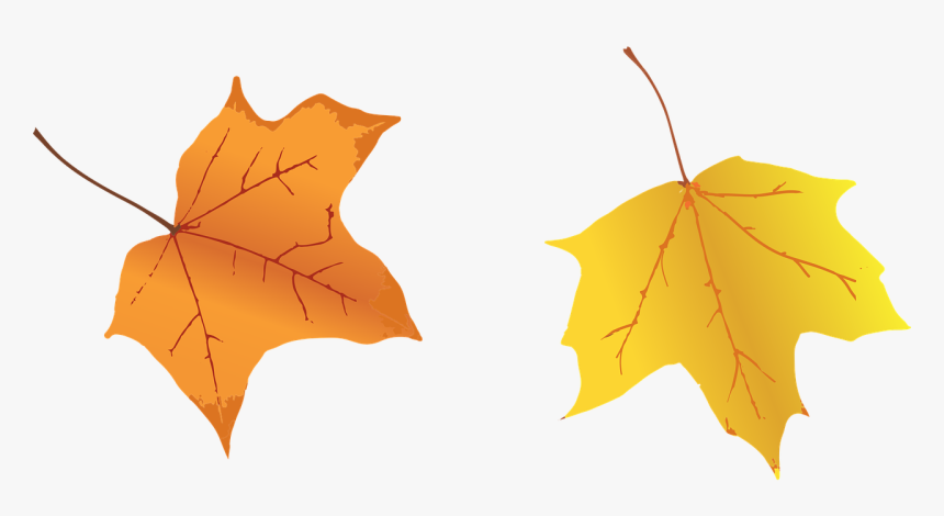 Autumn, HD Png Download, Free Download