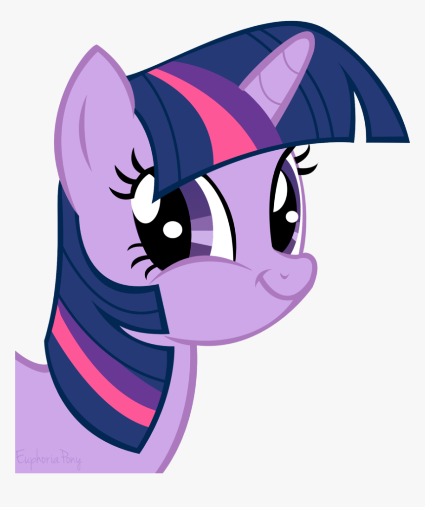 Euphoriapony, Face, Faic, Funny Face, Meme, Meme Face, - Mlp Twilight Sparkle Funny Face, HD Png Download, Free Download