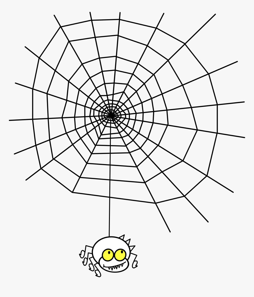 Maths In Spider Webs, HD Png Download, Free Download