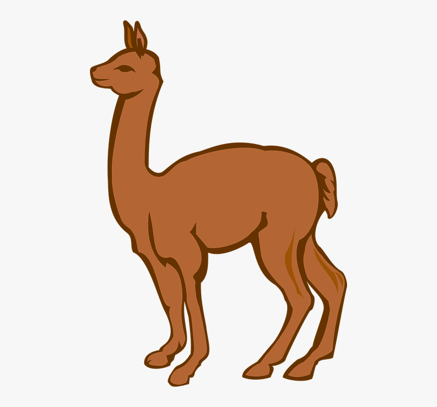 Llama, Creature, Farm, Animal, Brown, Vertebrate - Lama Clip Art, HD Png Download, Free Download